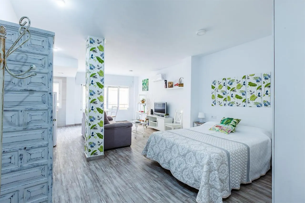 A&N Buenavista 2, Primera línea de playa Torre del Mar