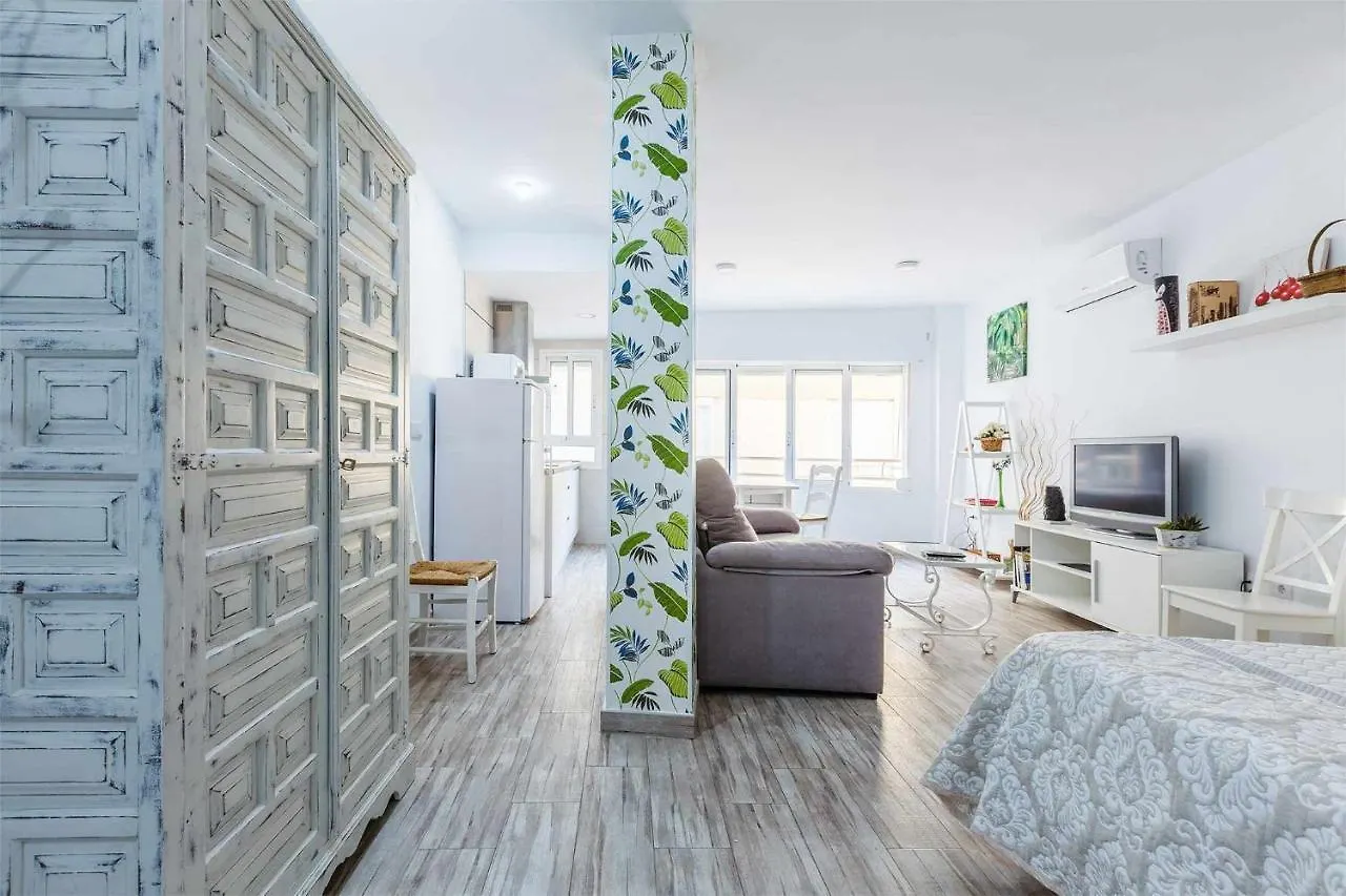 A&N Buenavista 2, Primera línea de playa Torre del Mar Apartamento